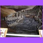 Dinosaur Head 3.jpg